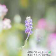 ヒメ日記 2026/08/02 15:10 投稿 さわ 奥鉄オクテツ和歌山