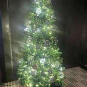 ヒメ日記 2024/12/11 10:15 投稿 岡かなえ プレジデントハウス