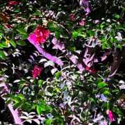 ヒメ日記 2024/12/21 11:00 投稿 岡かなえ プレジデントハウス