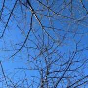 ヒメ日記 2024/12/24 08:57 投稿 岡かなえ プレジデントハウス