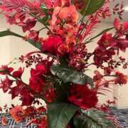 ヒメ日記 2025/01/06 09:06 投稿 岡かなえ プレジデントハウス