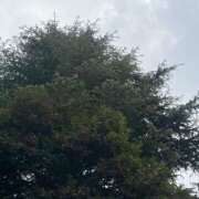 ヒメ日記 2025/01/21 09:04 投稿 岡かなえ プレジデントハウス