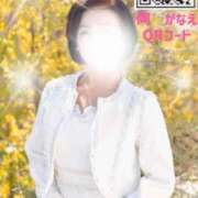 ヒメ日記 2025/02/17 15:16 投稿 岡かなえ プレジデントハウス