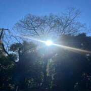 ヒメ日記 2025/02/19 09:11 投稿 岡かなえ プレジデントハウス