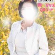 ヒメ日記 2025/02/22 10:02 投稿 岡かなえ プレジデントハウス