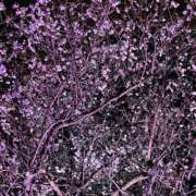 ヒメ日記 2025/03/04 15:04 投稿 岡かなえ プレジデントハウス