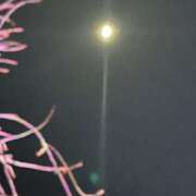 ヒメ日記 2025/03/07 22:49 投稿 岡かなえ プレジデントハウス