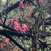 ヒメ日記 2025/03/16 09:03 投稿 岡かなえ プレジデントハウス