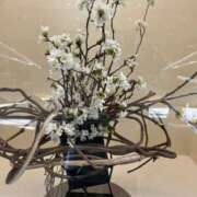 ヒメ日記 2025/04/12 08:56 投稿 岡かなえ プレジデントハウス