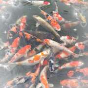 ヒメ日記 2025/04/24 15:46 投稿 岡かなえ プレジデントハウス