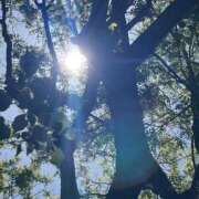 ヒメ日記 2025/05/14 15:09 投稿 岡かなえ プレジデントハウス