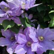 ヒメ日記 2025/06/19 09:06 投稿 岡かなえ プレジデントハウス