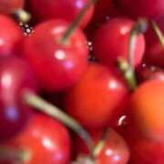 ヒメ日記 2025/06/21 18:21 投稿 岡かなえ プレジデントハウス