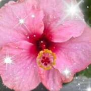 ヒメ日記 2025/06/23 15:26 投稿 岡かなえ プレジデントハウス