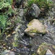 ヒメ日記 2025/06/29 17:33 投稿 岡かなえ プレジデントハウス