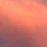 ヒメ日記 2025/09/16 14:03 投稿 岡かなえ プレジデントハウス