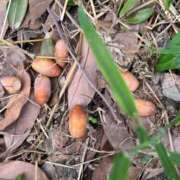 ヒメ日記 2025/10/07 17:27 投稿 岡かなえ プレジデントハウス