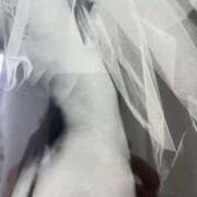 ヒメ日記 2026/03/13 09:08 投稿 岡かなえ プレジデントハウス