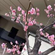 ヒメ日記 2025/03/16 18:40 投稿 きらり 逆電車ごっこ ～GLAMOROUS TRAIN～