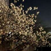 ヒメ日記 2025/03/26 21:30 投稿 きらり 逆電車ごっこ ～GLAMOROUS TRAIN～