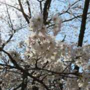 ヒメ日記 2025/04/11 09:20 投稿 きらり 逆電車ごっこ ～GLAMOROUS TRAIN～