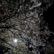 ヒメ日記 2025/04/18 21:30 投稿 きらり 逆電車ごっこ ～GLAMOROUS TRAIN～