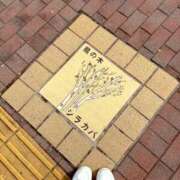 ヒメ日記 2025/04/26 21:41 投稿 きらり 逆電車ごっこ ～GLAMOROUS TRAIN～