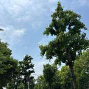 ヒメ日記 2025/05/23 11:30 投稿 きらり 逆電車ごっこ ～GLAMOROUS TRAIN～