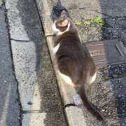 ヒメ日記 2025/06/08 19:20 投稿 きらり 逆電車ごっこ ～GLAMOROUS TRAIN～