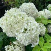 ヒメ日記 2025/06/21 21:30 投稿 きらり 逆電車ごっこ ～GLAMOROUS TRAIN～