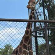 ヒメ日記 2025/08/08 18:36 投稿 きらり 逆電車ごっこ ～GLAMOROUS TRAIN～