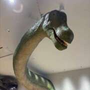 ヒメ日記 2025/08/10 19:30 投稿 きらり 逆電車ごっこ ～GLAMOROUS TRAIN～