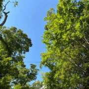 ヒメ日記 2025/09/22 10:32 投稿 きらり 逆電車ごっこ ～GLAMOROUS TRAIN～