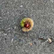 ヒメ日記 2025/10/22 21:40 投稿 きらり 逆電車ごっこ ～GLAMOROUS TRAIN～