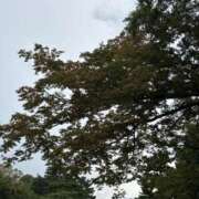 ヒメ日記 2025/11/02 21:04 投稿 きらり 逆電車ごっこ ～GLAMOROUS TRAIN～