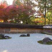 ヒメ日記 2025/11/23 19:50 投稿 きらり 逆電車ごっこ ～GLAMOROUS TRAIN～