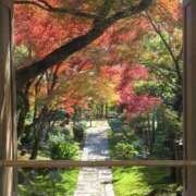 ヒメ日記 2025/11/28 09:50 投稿 きらり 逆電車ごっこ ～GLAMOROUS TRAIN～