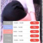 ヒメ日記 2026/01/09 09:20 投稿 きらり 逆電車ごっこ ～GLAMOROUS TRAIN～