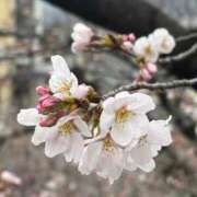 ヒメ日記 2026/03/27 09:40 投稿 きらり 逆電車ごっこ ～GLAMOROUS TRAIN～