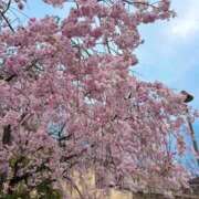 ヒメ日記 2026/04/02 11:45 投稿 きらり 逆電車ごっこ ～GLAMOROUS TRAIN～