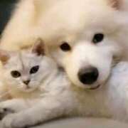 ふゆか こんばんは 完熟ばなな梅田