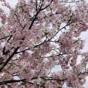 ヒメ日記 2026/03/30 22:44 投稿 ちえこ 完熟ばなな梅田