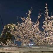 ヒメ日記 2026/04/03 21:14 投稿 ゆうり 完熟ばなな梅田