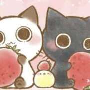 ヒメ日記 2026/02/24 15:57 投稿 まゆ 人妻の秘密成田店