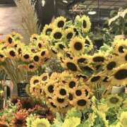 りえこ ホントに終わるのか夏は・・・ 完熟ばなな梅田