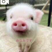 ヒメ日記 2025/07/29 19:13 投稿 みなみ 完熟ばなな梅田