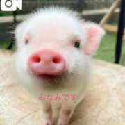 ヒメ日記 2025/09/09 12:24 投稿 みなみ 完熟ばなな梅田