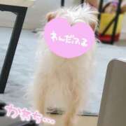 ヒメ日記 2025/03/18 13:59 投稿 ふぇあれでぃ Cawaiiハイ！スクールリターンズ