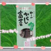 ヒメ日記 2025/03/29 13:50 投稿 ふぇあれでぃ Cawaiiハイ！スクールリターンズ