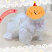 ヒメ日記 2025/04/04 20:52 投稿 ふぇあれでぃ Cawaiiハイ！スクールリターンズ